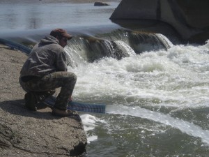 Steelhead Release