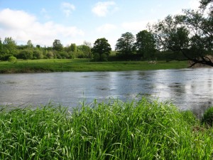 Main Saugeen River; Paisley, Ontario