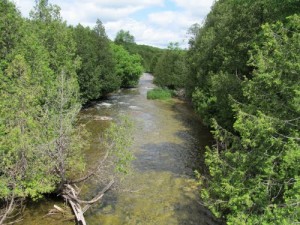 Rocky Saugeen River; Ontario