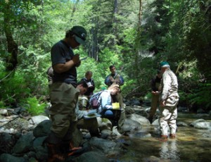 Volunteers Performing Stream Assessment