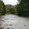 Fall 2012 Steelhead Transfer