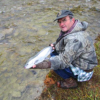 Saugeen Rainbow Trout Released