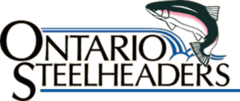 Ontario Steelheaders